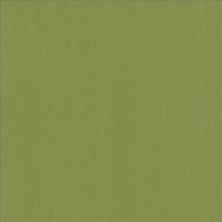 Perception Grass by Kasmir Designer Fabric 5174 100% Cotton
 INDIA </p><p>Repeat: Horizontal: N/A and Vertical: N/A 54 - Swanky Fabrics -