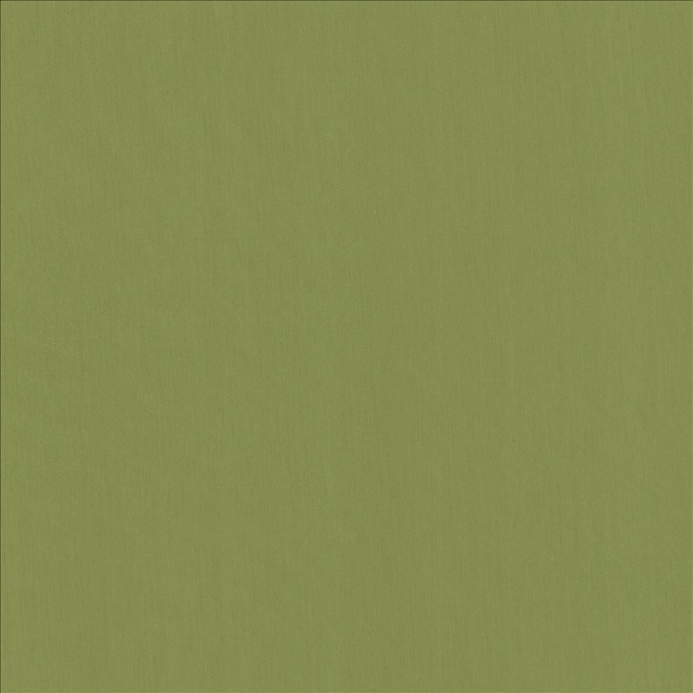 Perception Grass by Kasmir Designer Fabric 5174 100% Cotton
 INDIA </p><p>Repeat: Horizontal: N/A and Vertical: N/A 54 - Swanky Fabrics -