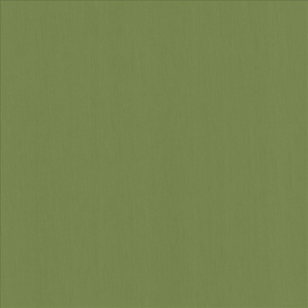 Perception Grass by Kasmir Designer Fabric See sample 100% Cotton
 INDIA 21,000 Wyzenbeek Double Rubs </p><p>Repeat: Horizontal: N/A and Vertical: N/A 54 - Swanky Fabrics -