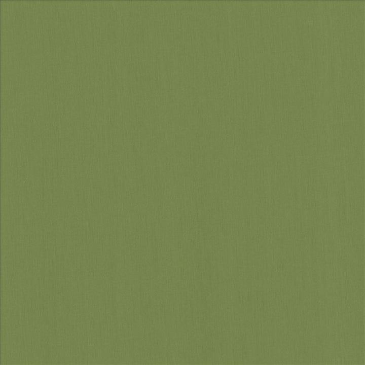 Perception Grass by Kasmir Designer Fabric See sample 100% Cotton
 INDIA 21,000 Wyzenbeek Double Rubs </p><p>Repeat: Horizontal: N/A and Vertical: N/A 54 - Swanky Fabrics -