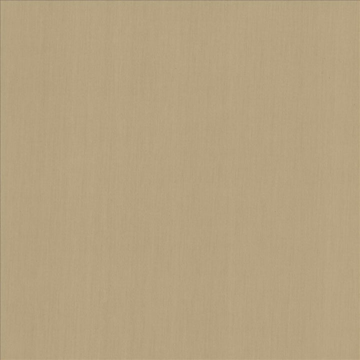 Perception Gray by Kasmir Designer Fabric 5174 100% Cotton
 INDIA </p><p>Repeat: Horizontal: N/A and Vertical: N/A 54 - Swanky Fabrics -