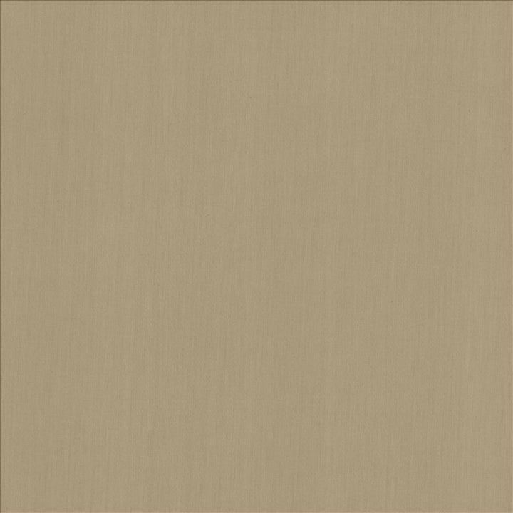 Perception Gray by Kasmir Designer Fabric 5174 100% Cotton
 INDIA 21,000 Wyzenbeek Double Rubs </p><p>Repeat: Horizontal: N/A and Vertical: N/A 54 - Swanky Fabrics -