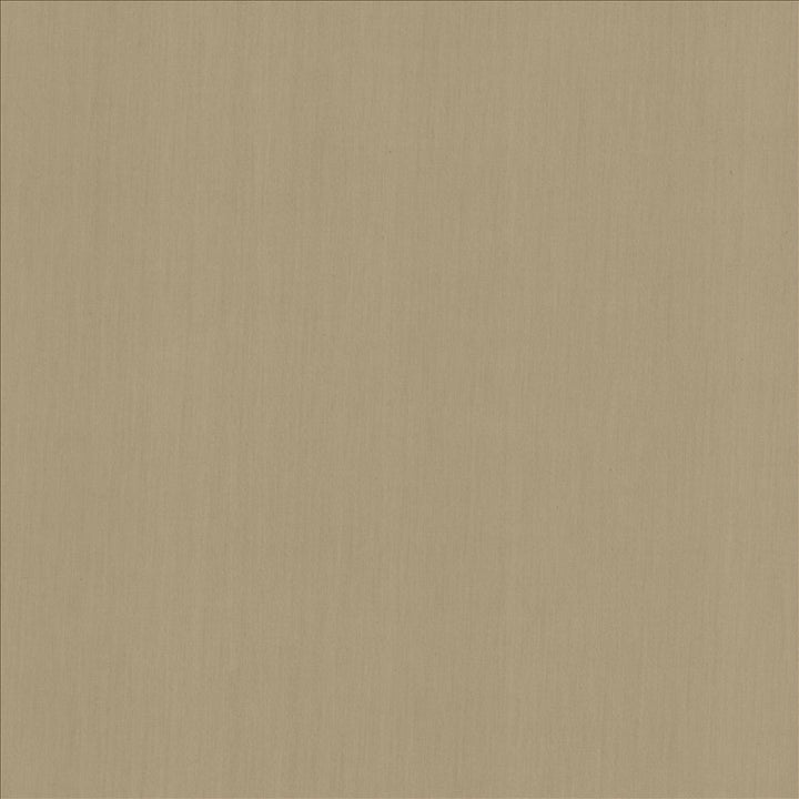 Perception Gray by Kasmir Designer Fabric See sample 100% Cotton
 INDIA 21,000 Wyzenbeek Double Rubs </p><p>Repeat: Horizontal: N/A and Vertical: N/A 54 - Swanky Fabrics -
