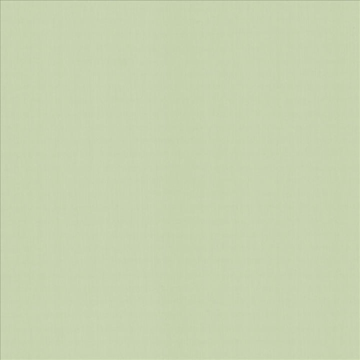 Perception Mint by Kasmir Designer Fabric 5174 100% Cotton
 INDIA </p><p>Repeat: Horizontal: N/A and Vertical: N/A 54 - Swanky Fabrics -
