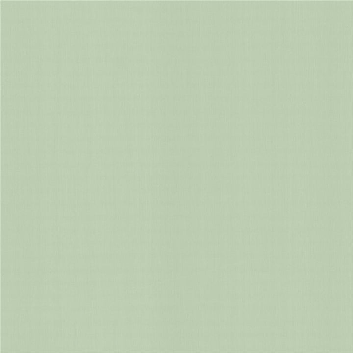 Perception Mint  by Kasmir Designer Fabric 5174 100% Cotton
 INDIA 21,000 Wyzenbeek Double Rubs Horizontal: N/A and Vertical: N/A 54  - Swanky Fabrics -