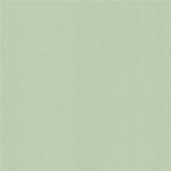 Perception Mint by Kasmir Designer Fabric 5174 100% Cotton
 INDIA 21,000 Wyzenbeek Double Rubs </p><p>Repeat: Horizontal: N/A and Vertical: N/A 54 - Swanky Fabrics -