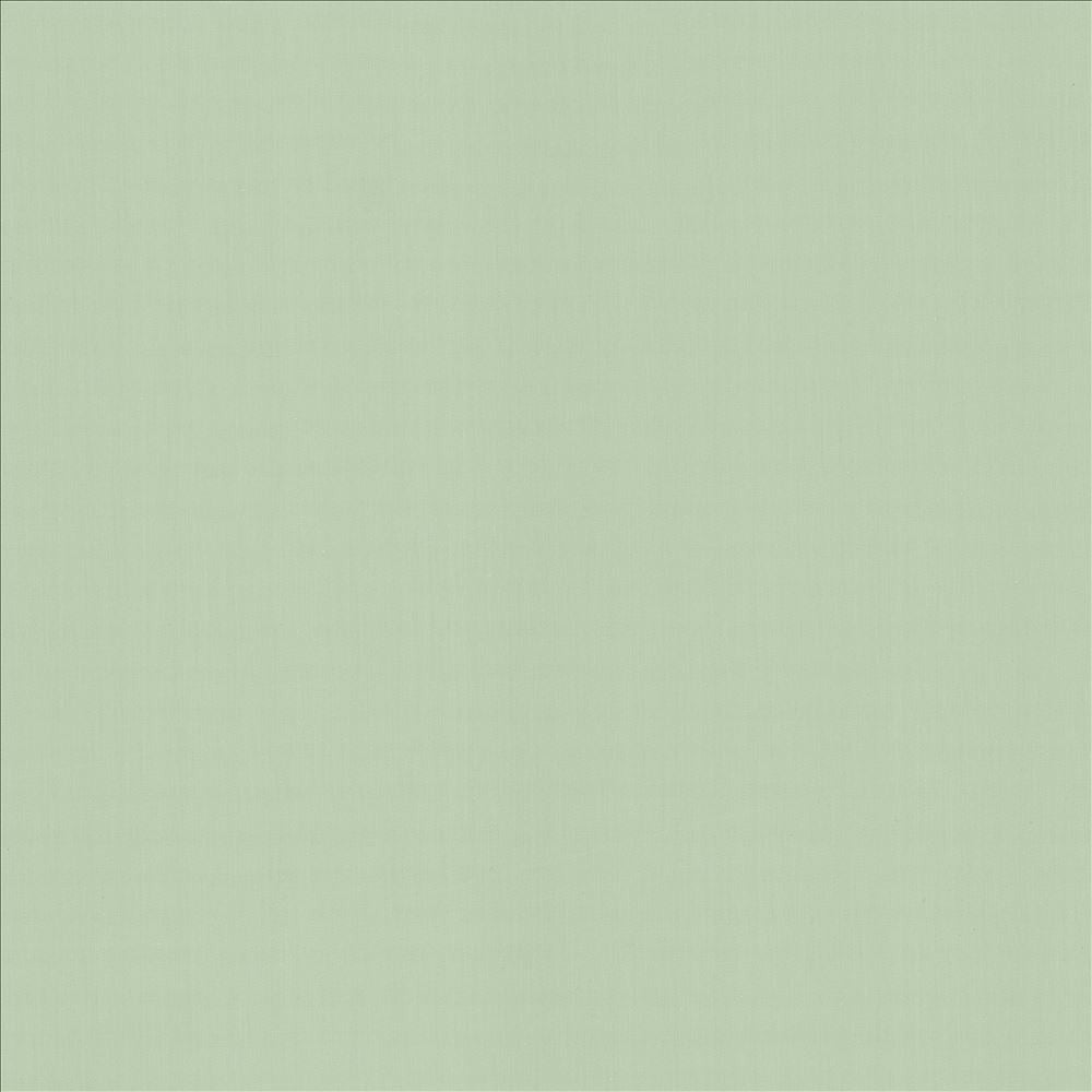 Perception Mint by Kasmir Designer Fabric See sample 100% Cotton
 INDIA 21,000 Wyzenbeek Double Rubs </p><p>Repeat: Horizontal: N/A and Vertical: N/A 54 - Swanky Fabrics -