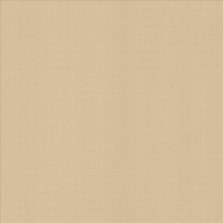 Perception Muslin by Kasmir Designer Fabric See sample 100% Cotton
 INDIA 21,000 Wyzenbeek Double Rubs </p><p>Repeat: Horizontal: N/A and Vertical: N/A 54 - Swanky Fabrics -