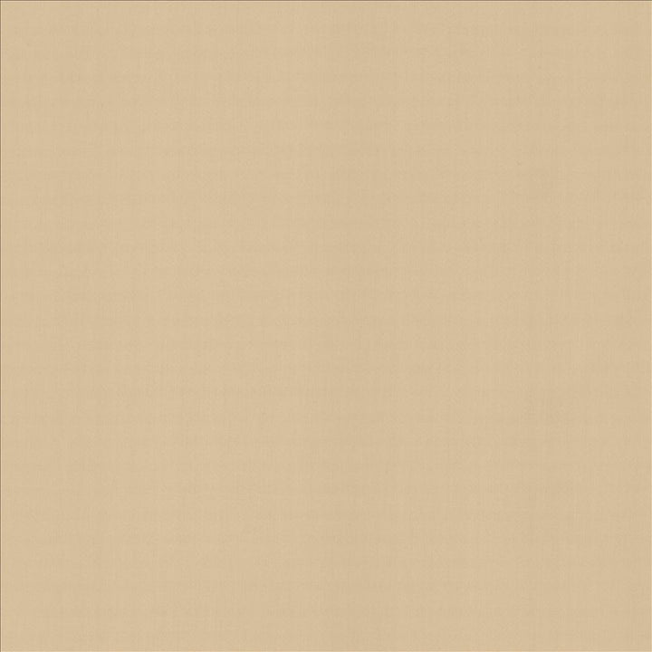 Perception Muslin by Kasmir Designer Fabric 5174 100% Cotton
 INDIA 21,000 Wyzenbeek Double Rubs </p><p>Repeat: Horizontal: N/A and Vertical: N/A 54 - Swanky Fabrics -