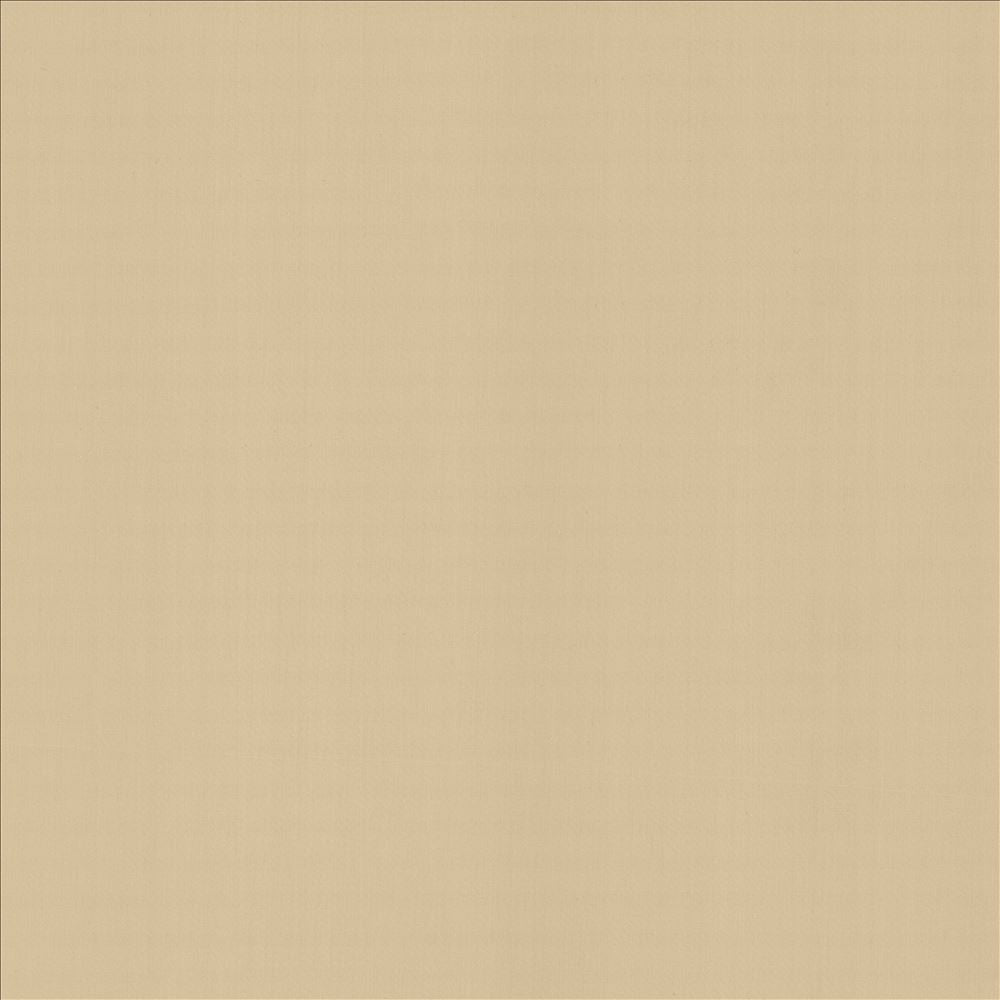 Perception Muslin  by Kasmir Designer Fabric 5174 100% Cotton
 INDIA 21,000 Wyzenbeek Double Rubs Horizontal: N/A and Vertical: N/A 54  - Swanky Fabrics -