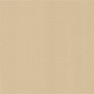 Perception Muslin by Kasmir Designer Fabric