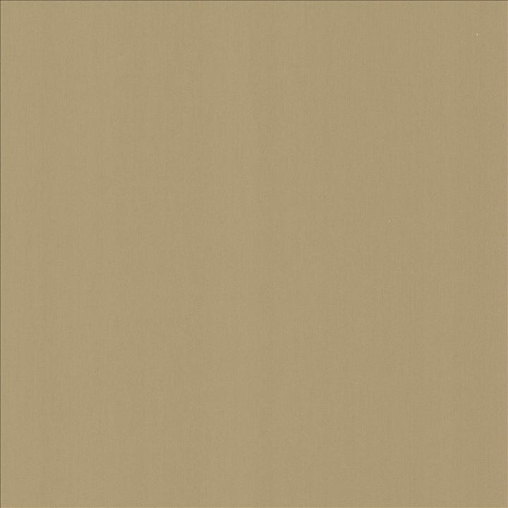 Perception Seal by Kasmir Designer Fabric 5174 100% Cotton
 INDIA </p><p>Repeat: Horizontal: N/A and Vertical: N/A 54 - Swanky Fabrics -