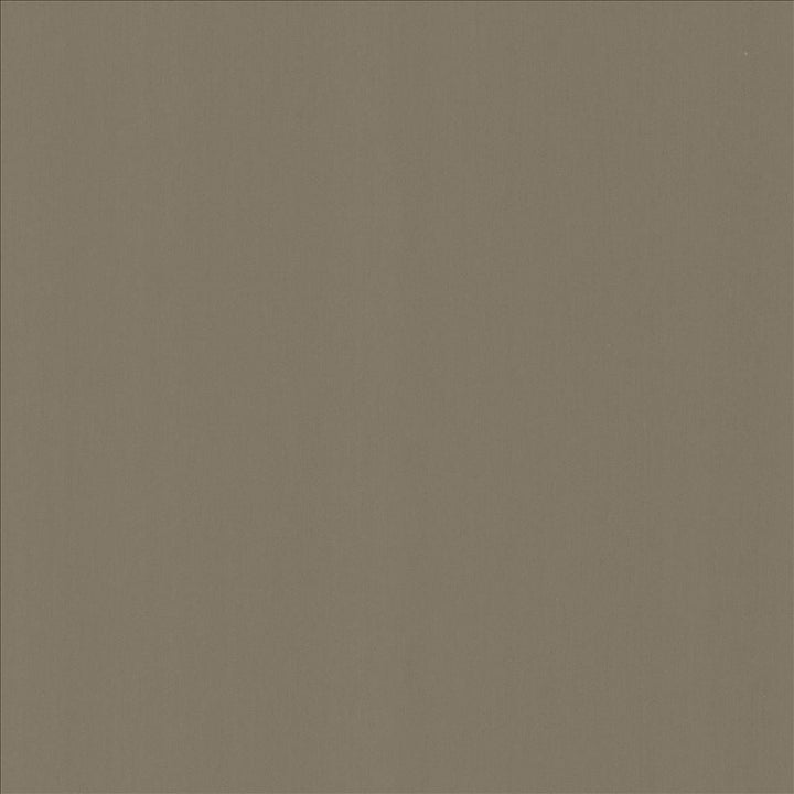 Perception Seal by Kasmir Designer Fabric 5174 100% Cotton
 INDIA 21,000 Wyzenbeek Double Rubs </p><p>Repeat: Horizontal: N/A and Vertical: N/A 54 - Swanky Fabrics -
