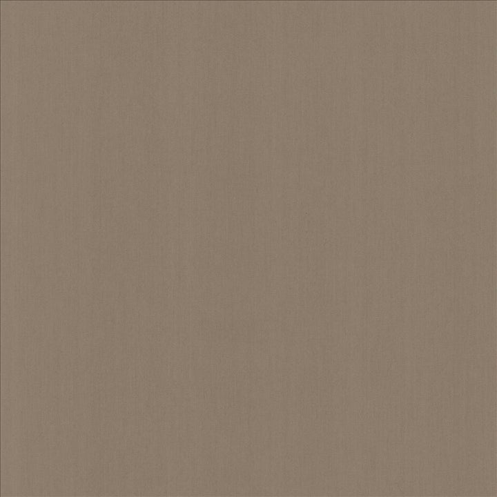 Perception Shale by Kasmir Designer Fabric 5174 100% Cotton
 INDIA </p><p>Repeat: Horizontal: N/A and Vertical: N/A 54 - Swanky Fabrics -