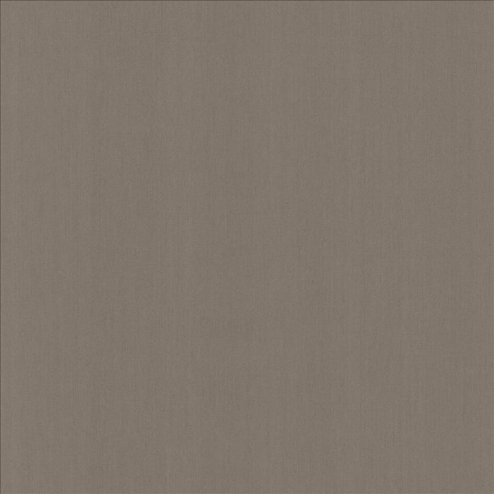 Perception Shale by Kasmir Designer Fabric 5174 100% Cotton
 INDIA 21,000 Wyzenbeek Double Rubs </p><p>Repeat: Horizontal: N/A and Vertical: N/A 54 - Swanky Fabrics -