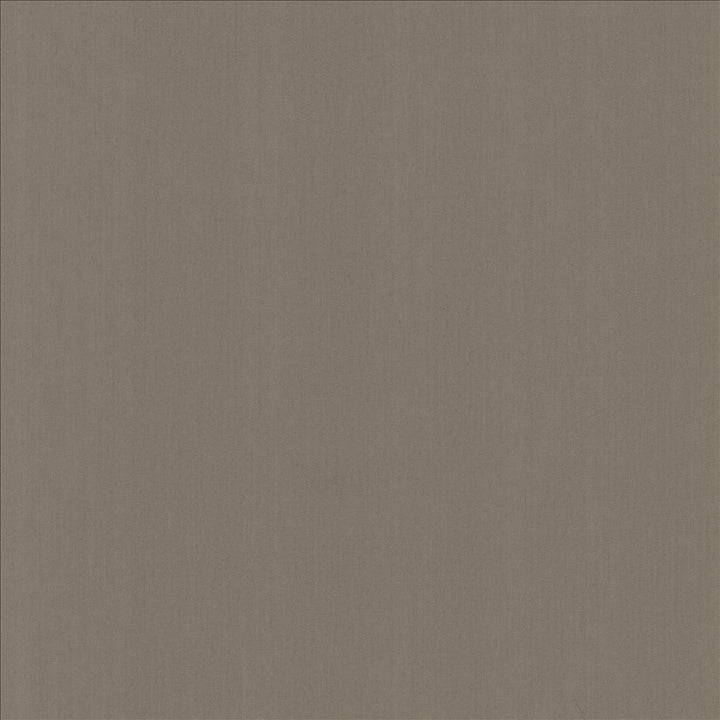 Perception Shale by Kasmir Designer Fabric See sample 100% Cotton
 INDIA 21,000 Wyzenbeek Double Rubs </p><p>Repeat: Horizontal: N/A and Vertical: N/A 54 - Swanky Fabrics -