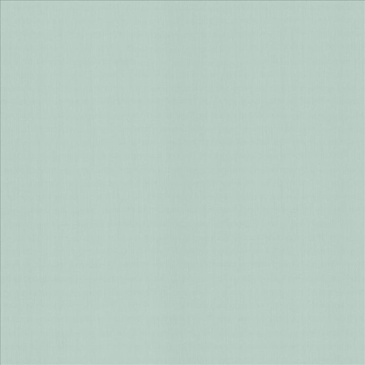 Perception Spray by Kasmir Designer Fabric 5174 100% Cotton
 INDIA 21,000 Wyzenbeek Double Rubs </p><p>Repeat: Horizontal: N/A and Vertical: N/A 54 - Swanky Fabrics -