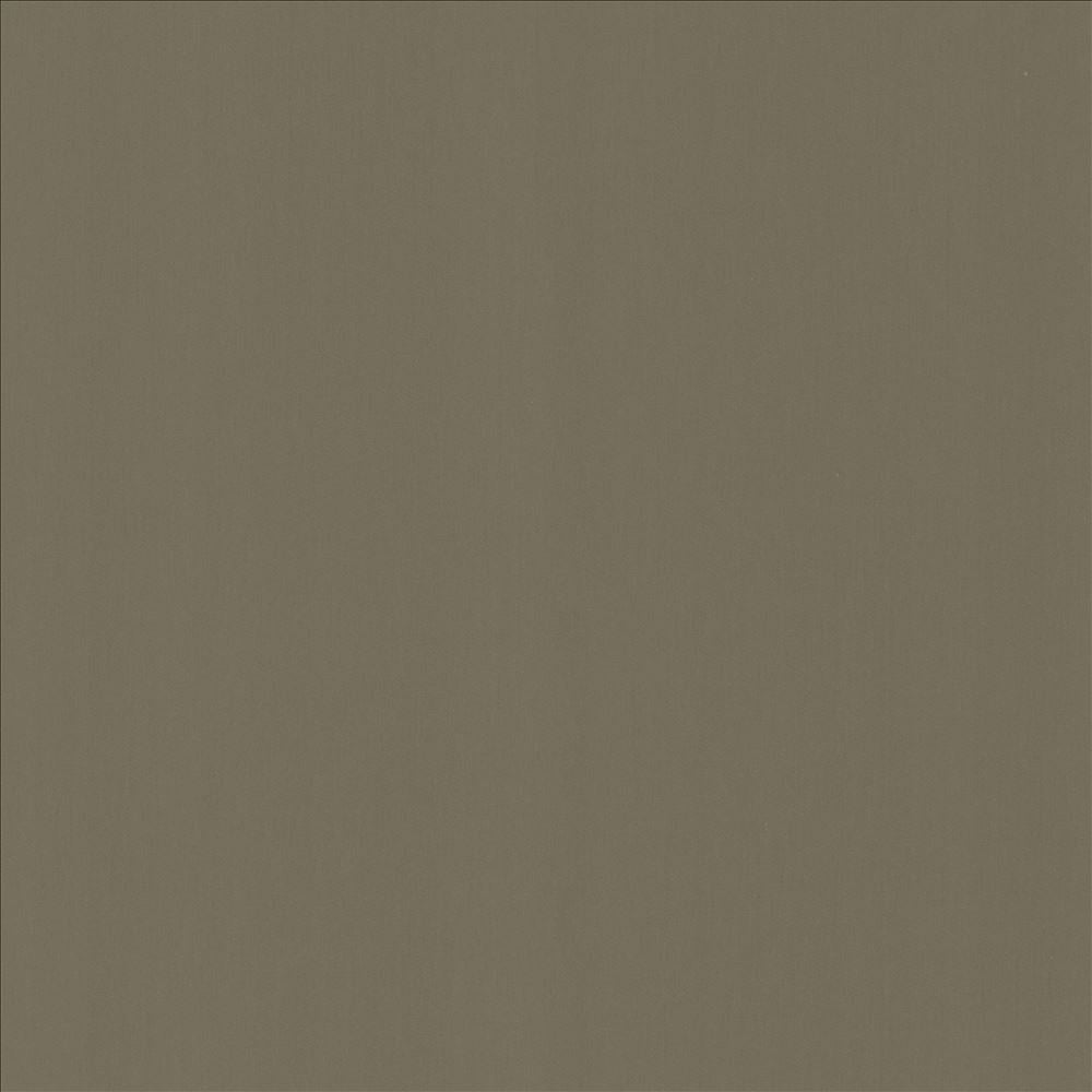 Perception Sterling  by Kasmir Designer Fabric 5174 100% Cotton
 INDIA 21,000 Wyzenbeek Double Rubs Horizontal: N/A and Vertical: N/A 54  - Swanky Fabrics -