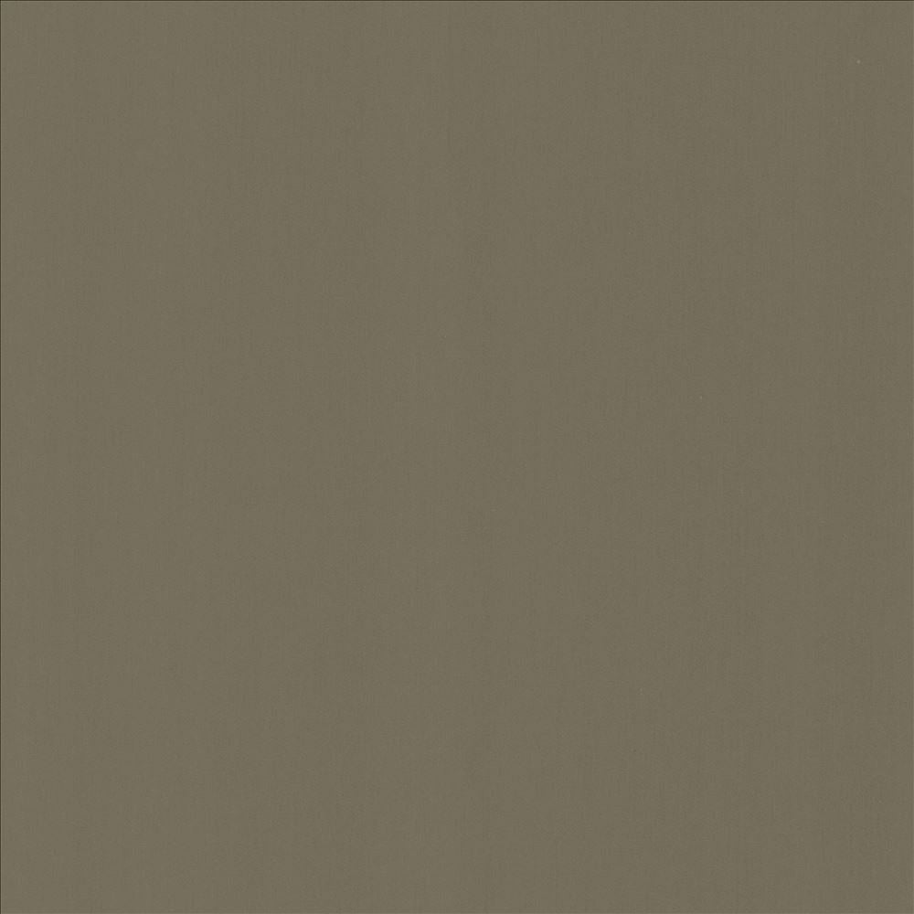 Perception Sterling by Kasmir Designer Fabric 5174 100% Cotton
 INDIA 21,000 Wyzenbeek Double Rubs </p><p>Repeat: Horizontal: N/A and Vertical: N/A 54 - Swanky Fabrics -