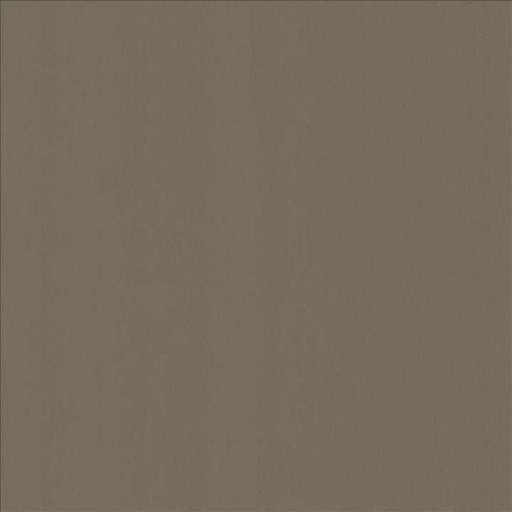 Perception Sterling by Kasmir Designer Fabric 5174 100% Cotton
 INDIA 21,000 Wyzenbeek Double Rubs </p><p>Repeat: Horizontal: N/A and Vertical: N/A 54 - Swanky Fabrics -