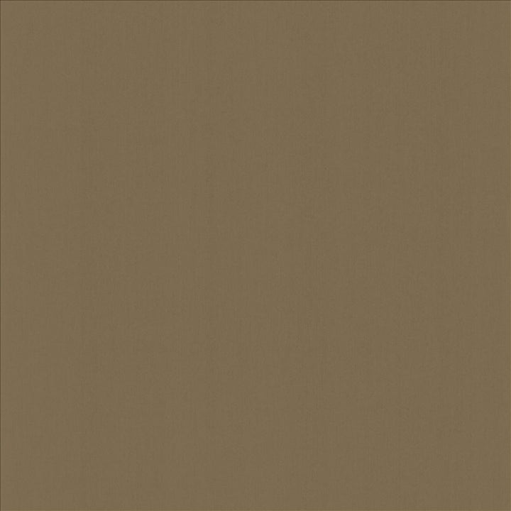 Perception Wood by Kasmir Designer Fabric 5174 100% Cotton
 INDIA 21,000 Wyzenbeek Double Rubs </p><p>Repeat: Horizontal: N/A and Vertical: N/A 54 - Swanky Fabrics -