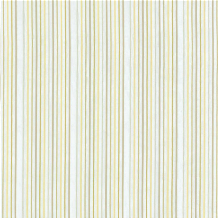 Petticoat Marble by Kasmir Designer Fabric See sample 100% Polyester
 TURKEY Not Tested </p><p>Repeat: Horizontal: 4 inches and Vertical: N/A 59 - Swanky Fabrics -