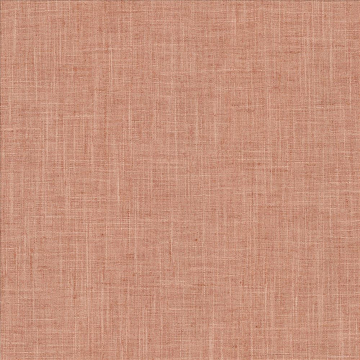 Photo Finish Blush by Kasmir Designer Fabric 5162 100% Polyester
 INDIA 12,000 Wyzenbeek Double Rubs </p><p>Repeat: Horizontal: N/A and Vertical: N/A 54 - Swanky Fabrics -