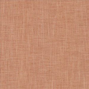 Photo Finish Blush by Kasmir Designer Fabric