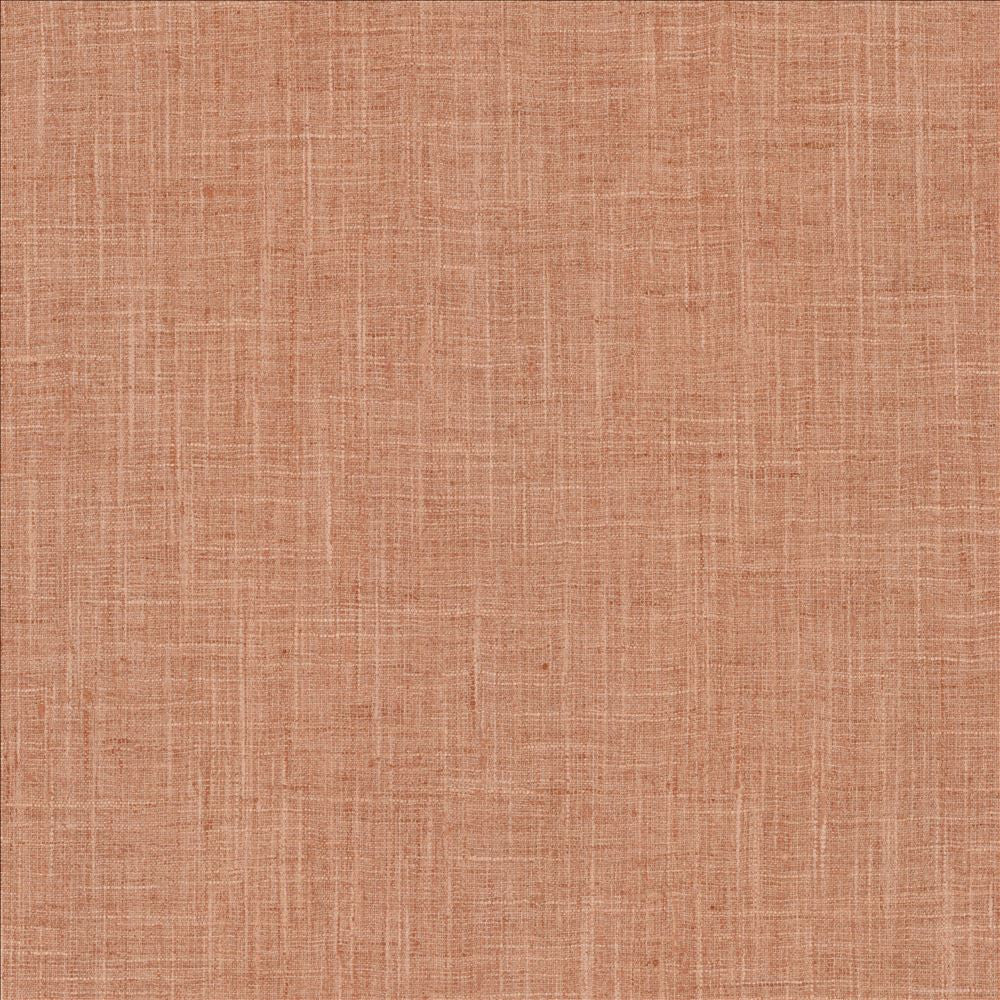 Photo Finish Blush by Kasmir Designer Fabric See sample 100% Polyester
 INDIA 12,000 Wyzenbeek Double Rubs </p><p>Repeat: Horizontal: N/A and Vertical: N/A 54 - Swanky Fabrics -