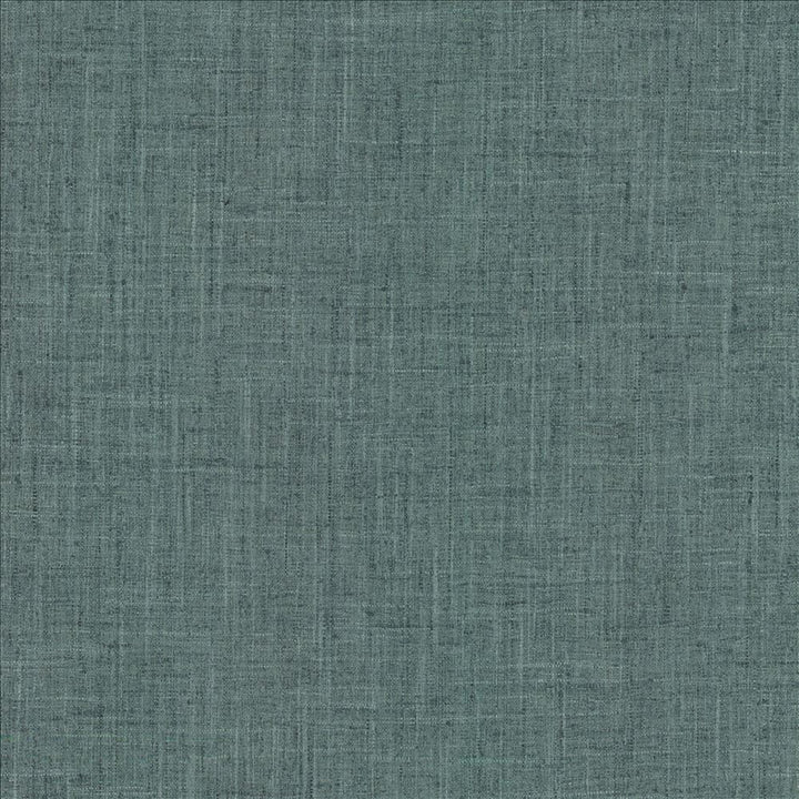 Photo Finish Danube by Kasmir Designer Fabric See sample 100% Polyester
 INDIA 12,000 Wyzenbeek Double Rubs </p><p>Repeat: Horizontal: N/A and Vertical: N/A 54 - Swanky Fabrics -
