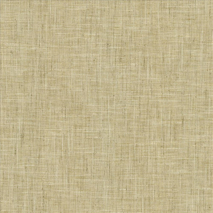 Photo Finish Flannel by Kasmir Designer Fabric 5162 100% Polyester
 INDIA 12,000 Wyzenbeek Double Rubs </p><p>Repeat: Horizontal: N/A and Vertical: N/A 54 - Swanky Fabrics -
