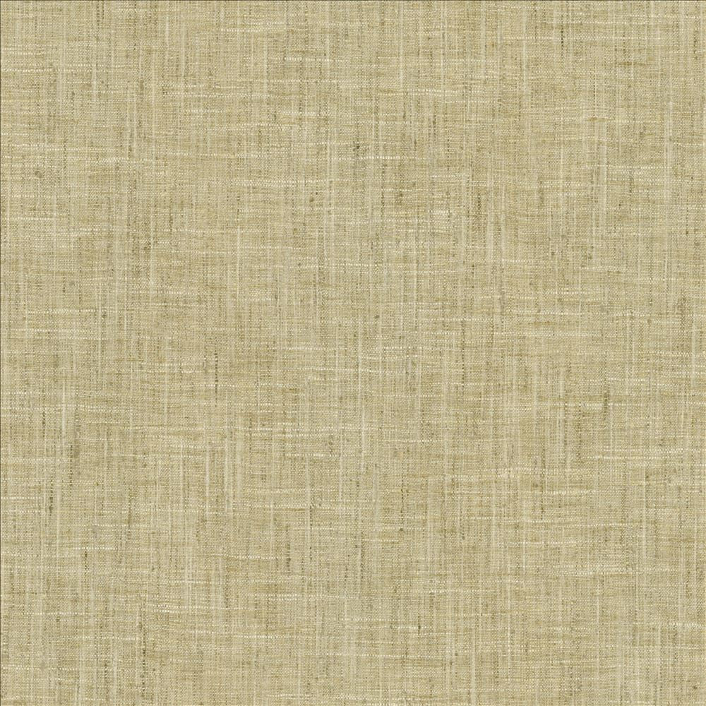 Photo Finish Flannel by Kasmir Designer Fabric 5162 100% Polyester
 INDIA </p><p>Repeat: Horizontal: N/A and Vertical: N/A 54 - Swanky Fabrics -