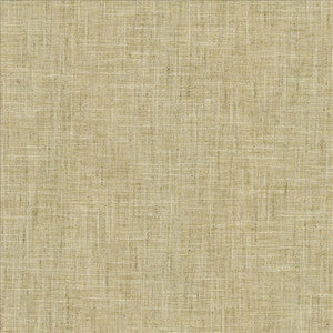 Photo Finish Flannel by Kasmir Designer Fabric