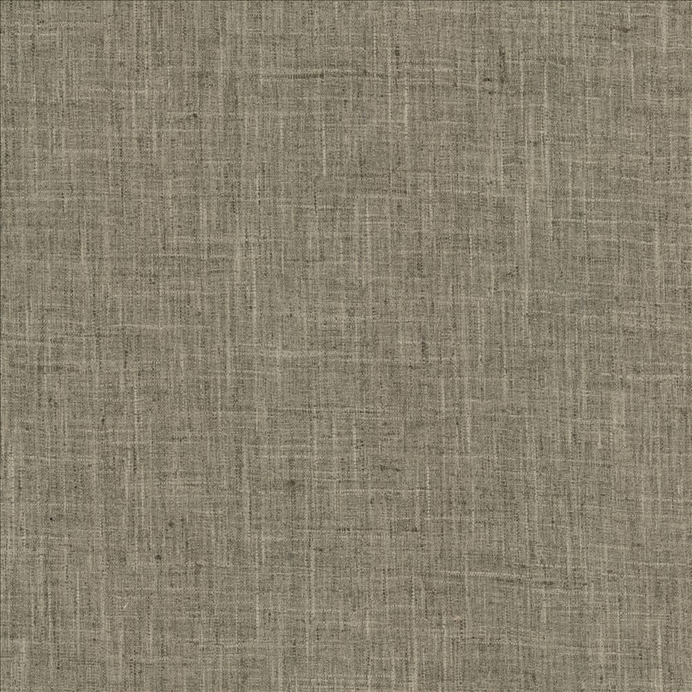 Photo Finish Shale  by Kasmir Designer Fabric 5162 100% Polyester
 INDIA 12,000 Wyzenbeek Double Rubs Horizontal: N/A and Vertical: N/A 54  - Swanky Fabrics -