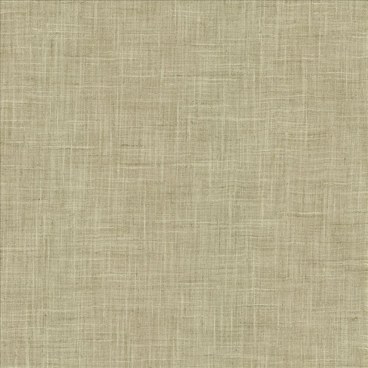 Photo Finish Zinc by Kasmir Designer Fabric 5162 100% Polyester
 INDIA 12,000 Wyzenbeek Double Rubs </p><p>Repeat: Horizontal: N/A and Vertical: N/A 54 - Swanky Fabrics -