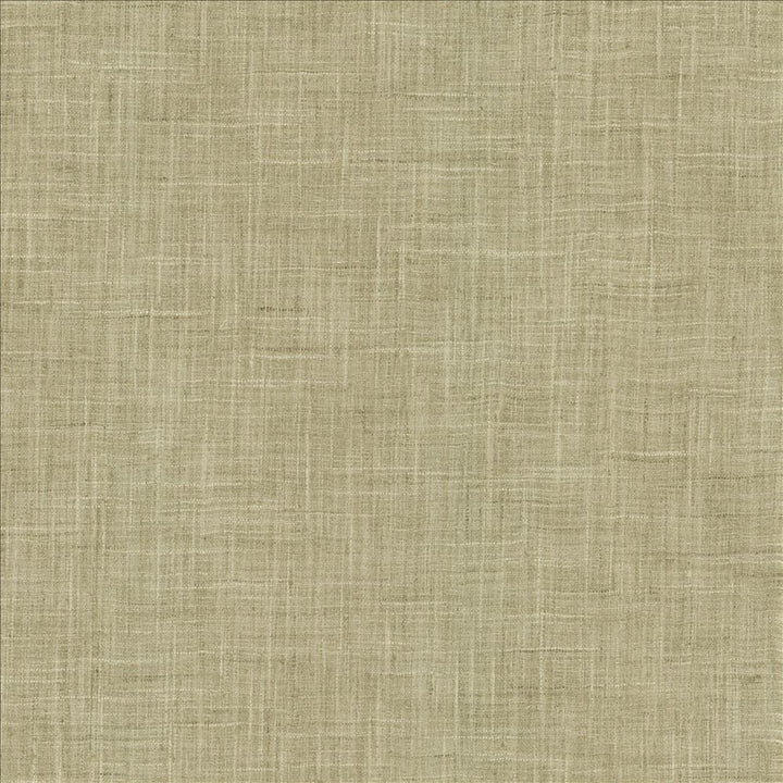 Photo Finish Zinc by Kasmir Designer Fabric 5162 100% Polyester
 INDIA </p><p>Repeat: Horizontal: N/A and Vertical: N/A 54 - Swanky Fabrics -
