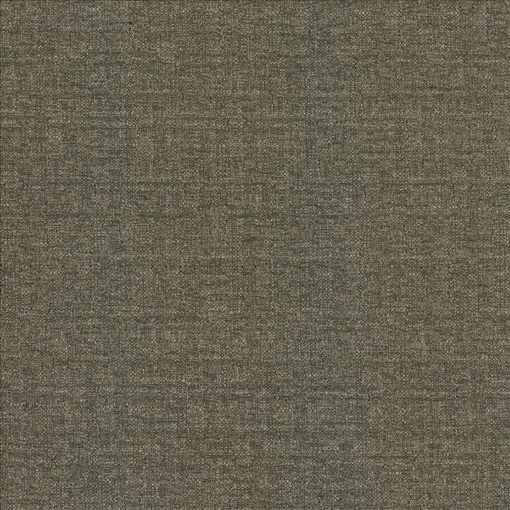 Pilot Slate by Kasmir Designer Fabric See sample 100% Polyester
 CHINA 50,000 Wyzenbeek Double Rubs </p><p>Repeat: Horizontal: N/A and Vertical: N/A 54 - Swanky Fabrics -