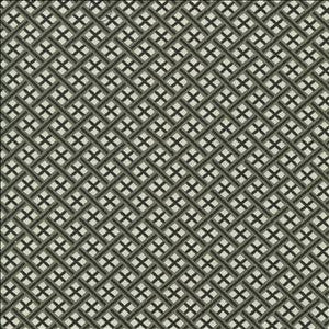 Pinebrook Graphite by Kasmir Designer Fabric