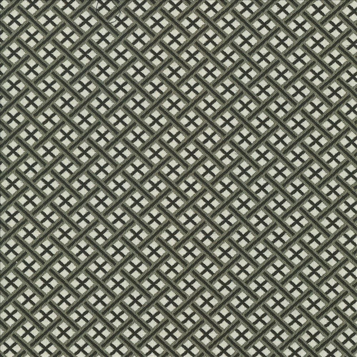 Pinebrook Graphite by Kasmir Designer Fabric 1438 100% Polyester CHINA 48,000 Wyzenbeek Double Rubs Horizontal: 1 inches and Vertical: 1 inches 56 - Swanky Fabrics -