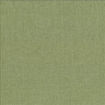 Pinnacle Aloe by Kasmir Designer Fabric 5046 100% Polyester INDIA 102,000 Wyzenbeek Double Rubs H: N/A, V: N/A 54 - 55 - Swanky Fabrics - Kasmir