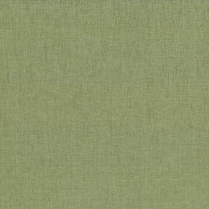 Pinnacle Aloe  by Kasmir Designer Fabric 5046 100% Polyester
 INDIA 102,000 Wyzenbeek Double Rubs Horizontal: N/A and Vertical: N/A 54  - Swanky Fabrics -