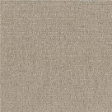 Pinnacle Barley by Kasmir Designer Fabric 1353 100% Polyester INDIA 102,000 Wyzenbeek Double Rubs H: N/A, V: N/A 54 - 55 - Swanky Fabrics - Kasmir