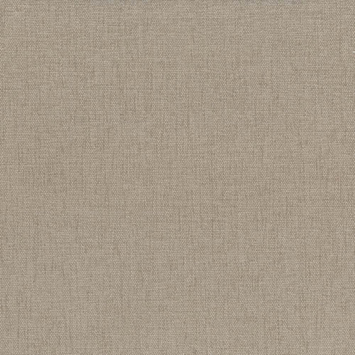 Pinnacle Barley  by Kasmir Designer Fabric 5046 100% Polyester
 INDIA 102,000 Wyzenbeek Double Rubs Horizontal: N/A and Vertical: N/A 54  - Swanky Fabrics -