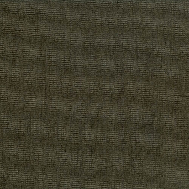 Pinnacle Basil by Kasmir Designer Fabric 5046 100% Polyester
 INDIA </p><p>Repeat: Horizontal: N/A and Vertical: N/A 54 - 55 - Swanky Fabrics -
