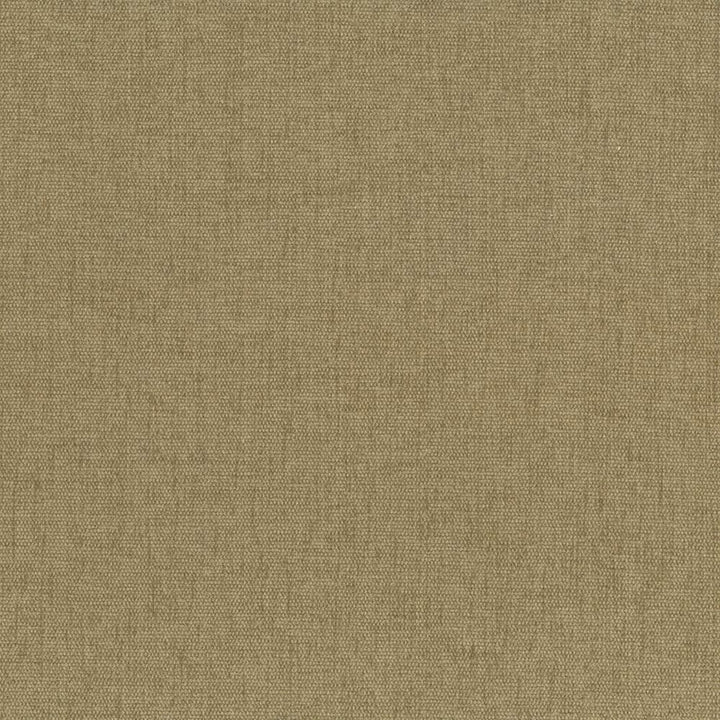 Pinnacle Cashew by Kasmir Designer Fabric 5046 100% Polyester
 INDIA 102,000 Wyzenbeek Double Rubs </p><p>Repeat: Horizontal: N/A and Vertical: N/A 54 - Swanky Fabrics -
