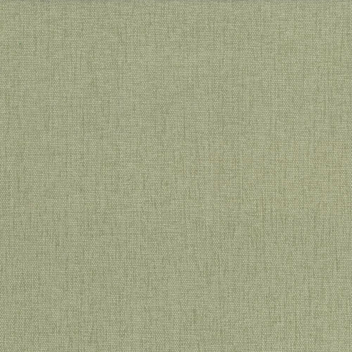 Pinnacle Celery by Kasmir Designer Fabric 5046 100% Polyester
 INDIA </p><p>Repeat: Horizontal: N/A and Vertical: N/A 54 - 55 - Swanky Fabrics -