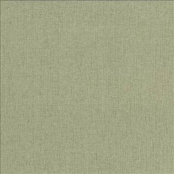 Pinnacle Celery by Kasmir Designer Fabric 5046 100% Polyester INDIA 102,000 Wyzenbeek Double Rubs H: N/A, V: N/A 54 - 55 - Swanky Fabrics - Kasmir