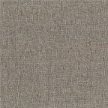 Pinnacle Cement by Kasmir Designer Fabric 5046 100% Polyester INDIA 102,000 Wyzenbeek Double Rubs H: N/A, V: N/A 54 - 55 - Swanky Fabrics - Kasmir