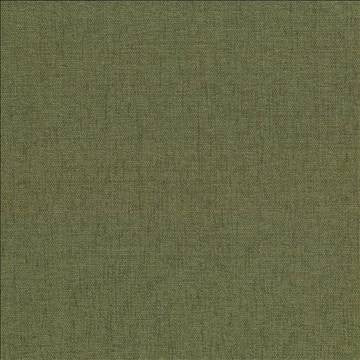 Pinnacle Chive by Kasmir Designer Fabric 1353 100% Polyester INDIA 102,000 Wyzenbeek Double Rubs H: N/A, V: N/A 54 - 55 - Swanky Fabrics - Kasmir