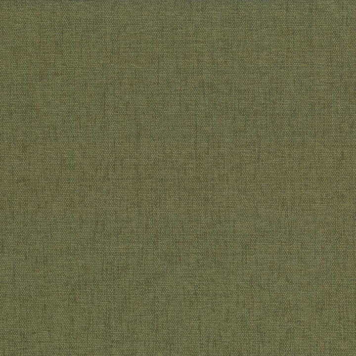 Pinnacle Chive  by Kasmir Designer Fabric 1353 100% Polyester
 INDIA 102,000 Wyzenbeek Double Rubs Horizontal: N/A and Vertical: N/A 54  - Swanky Fabrics -